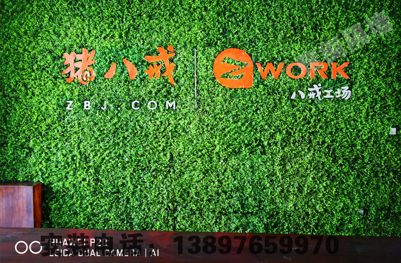 城東區(qū)創(chuàng)新創(chuàng)業(yè)大廈豬八戒互聯(lián)網(wǎng)+ 600平米 完工！